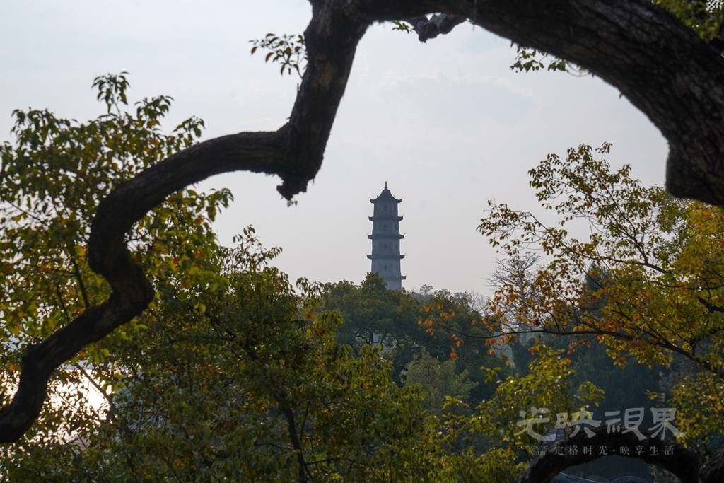 DSC07847_副本_副本.jpg