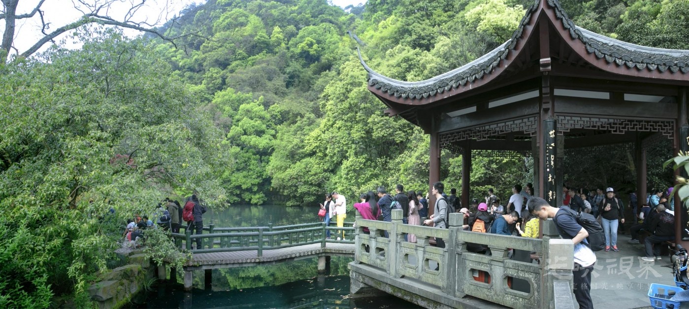 20190413杭州九溪010.jpg