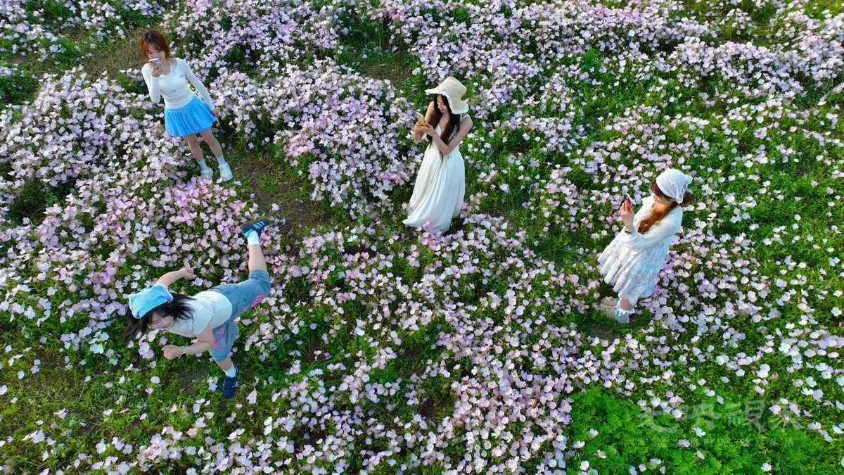 30张兵-青春象花儿一样迷人88AcGdeA7pck.jpg