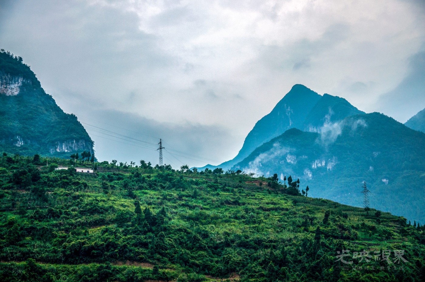 _DSC8012.jpg