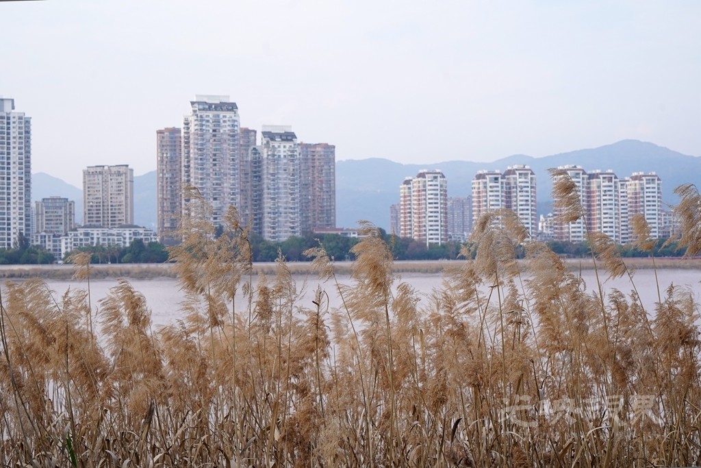 DSC07884_副本.jpg