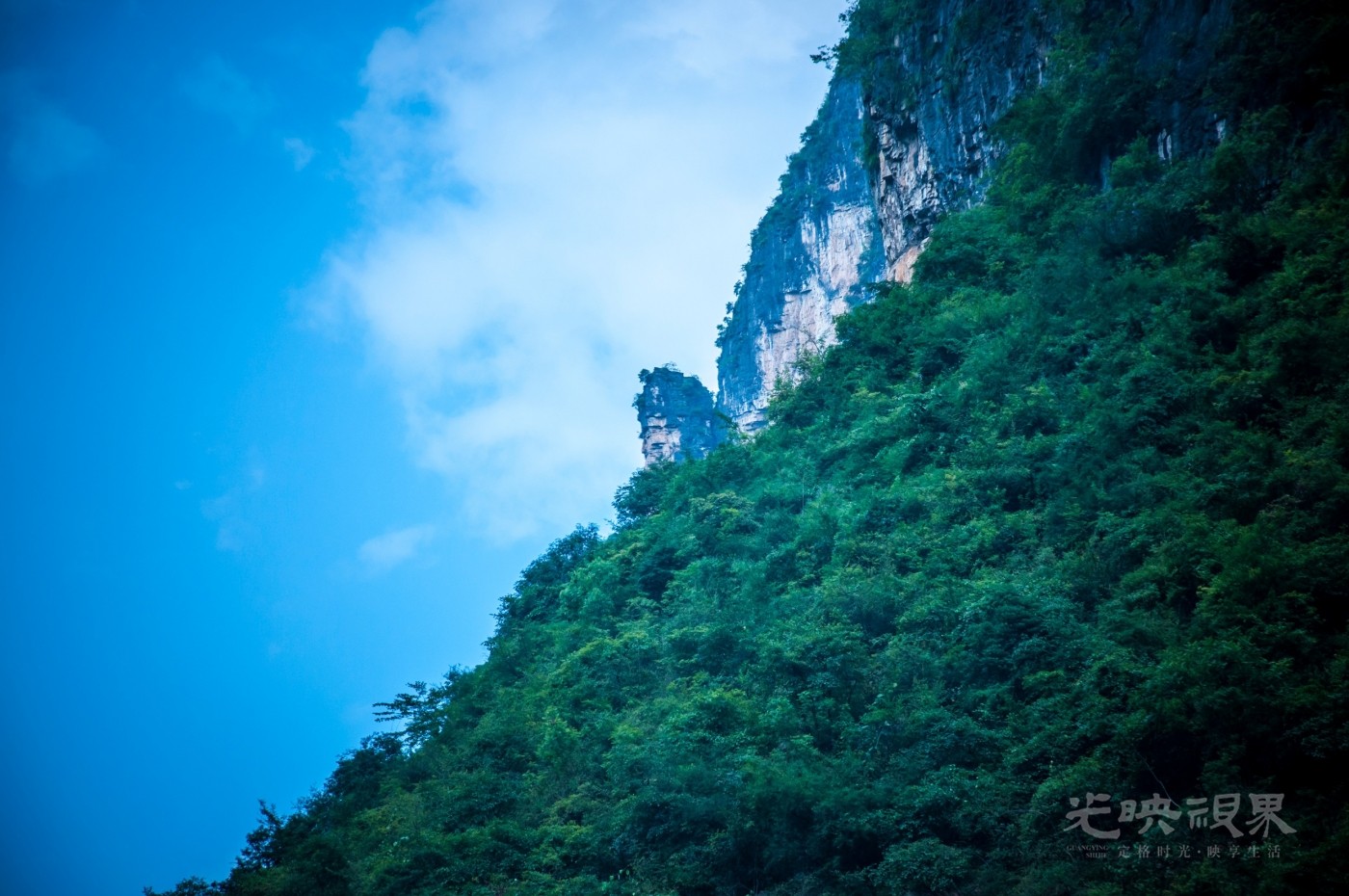 _DSC7009.jpg