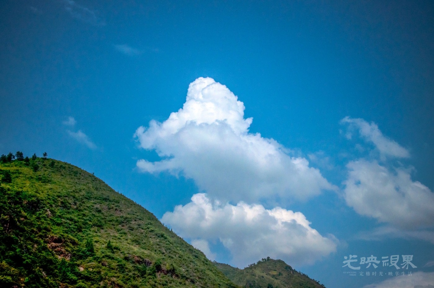 _DSC7007.jpg