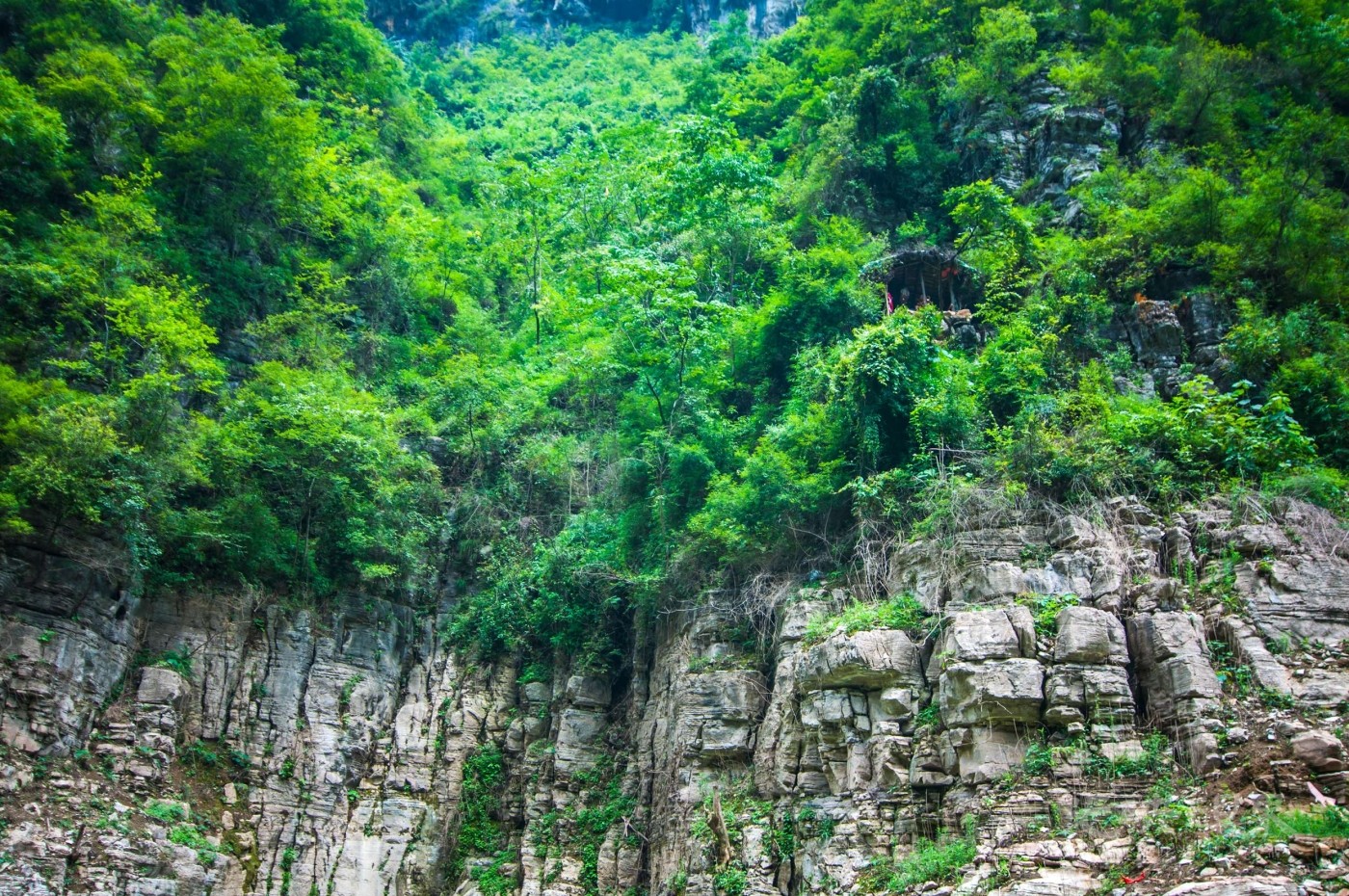 _DSC7500.jpg