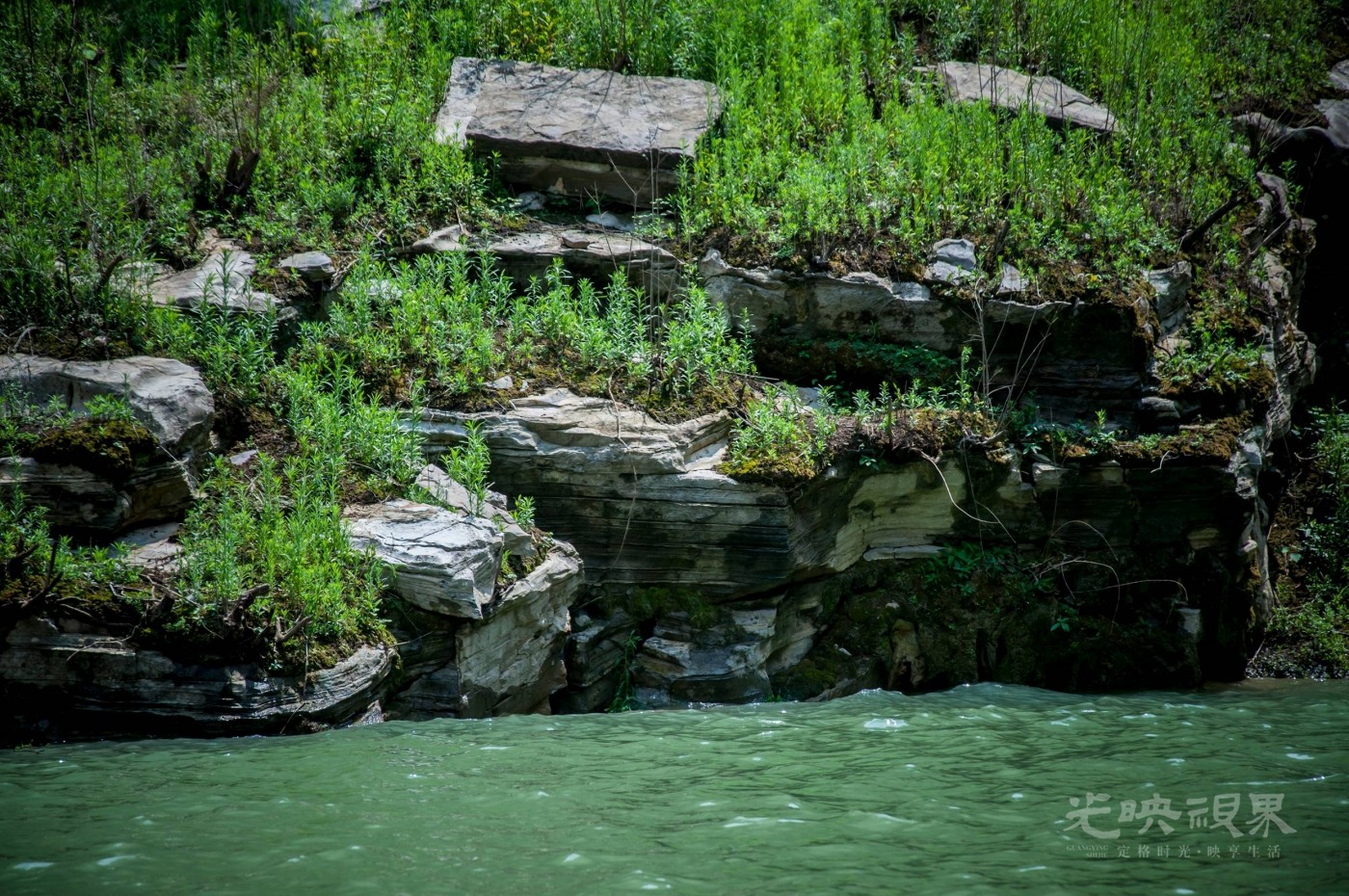 _DSC7562.jpg