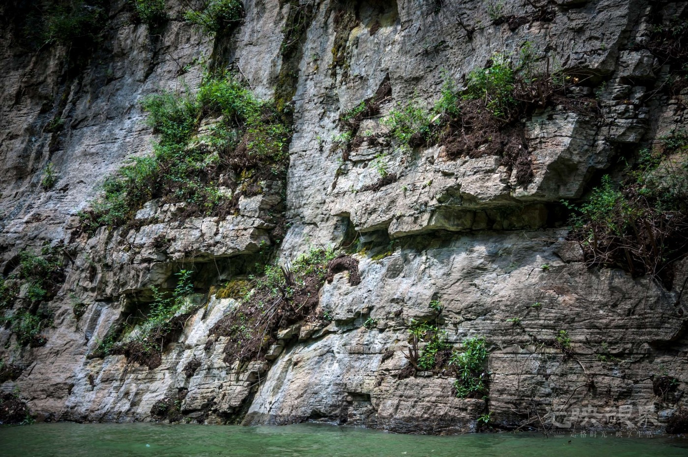 _DSC7598.jpg
