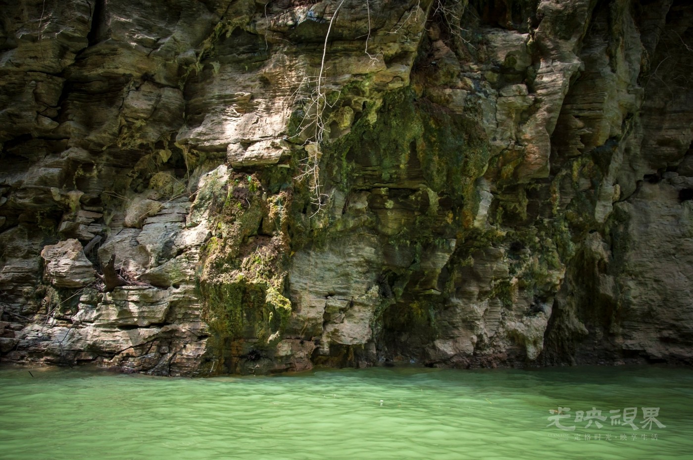 _DSC7605.jpg