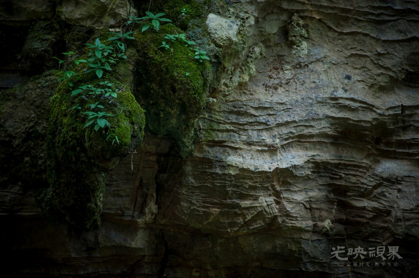 _DSC7554.jpg