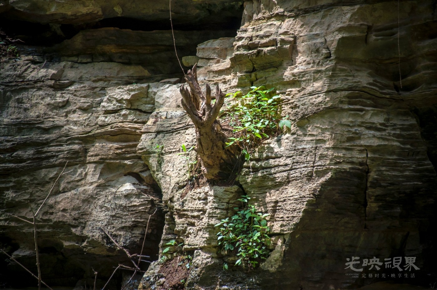 _DSC7579.jpg