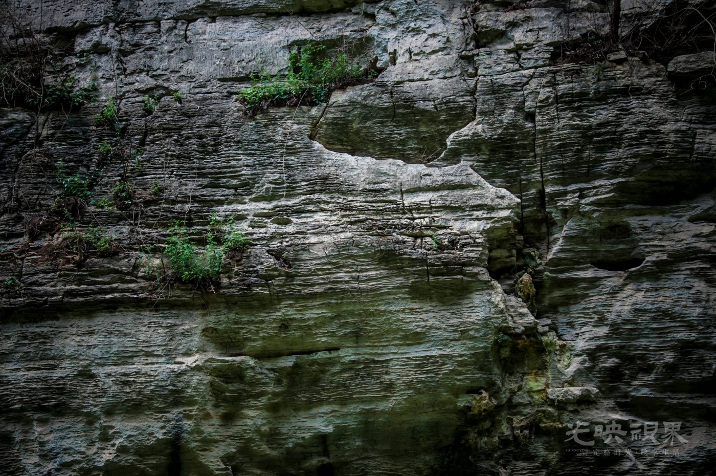 _DSC7588.jpg