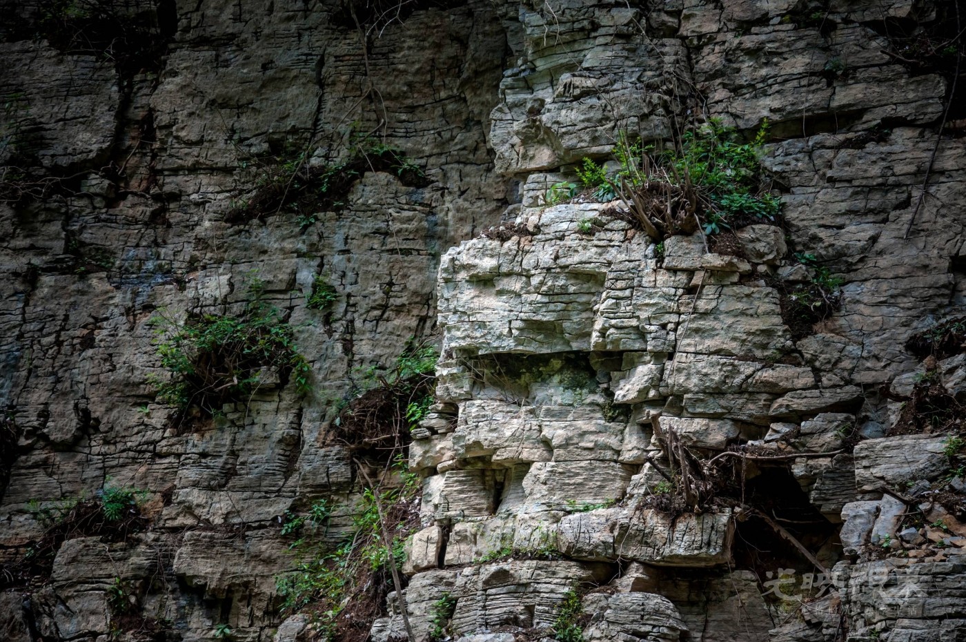_DSC7592.jpg