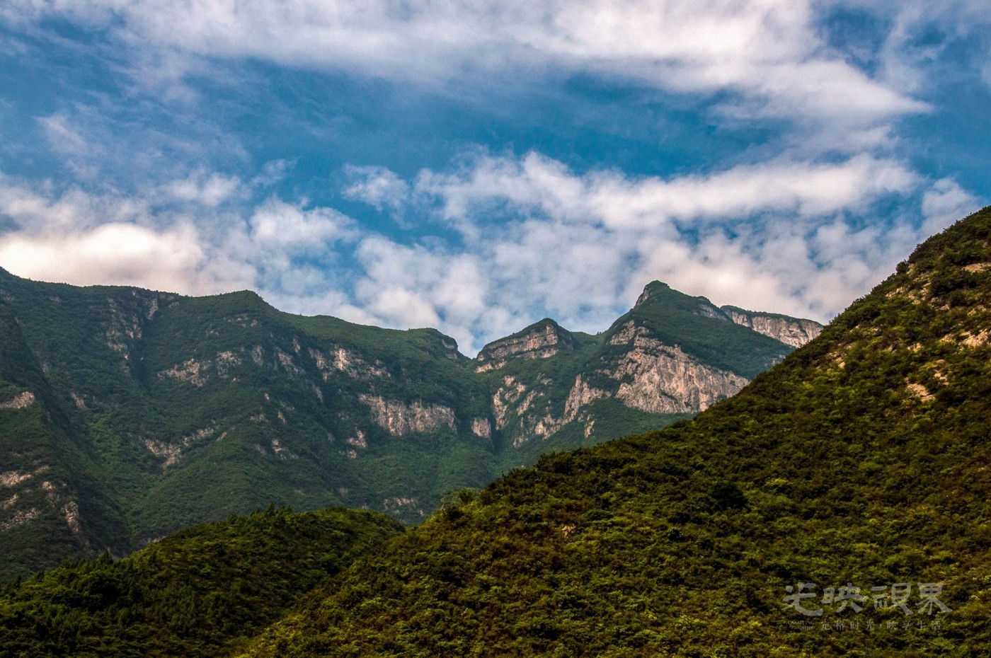_DSC6973.jpg