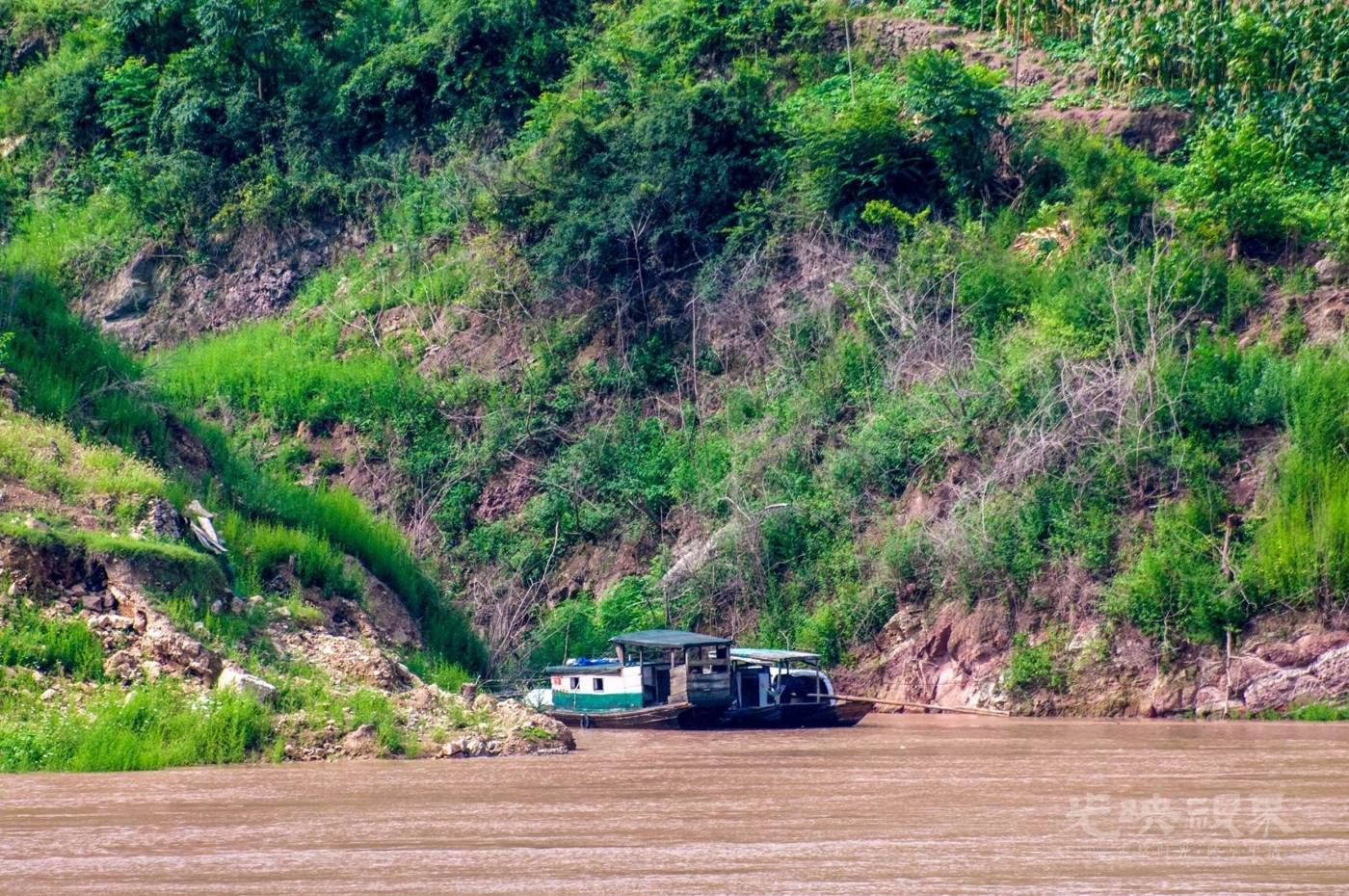 _DSC7012.jpg