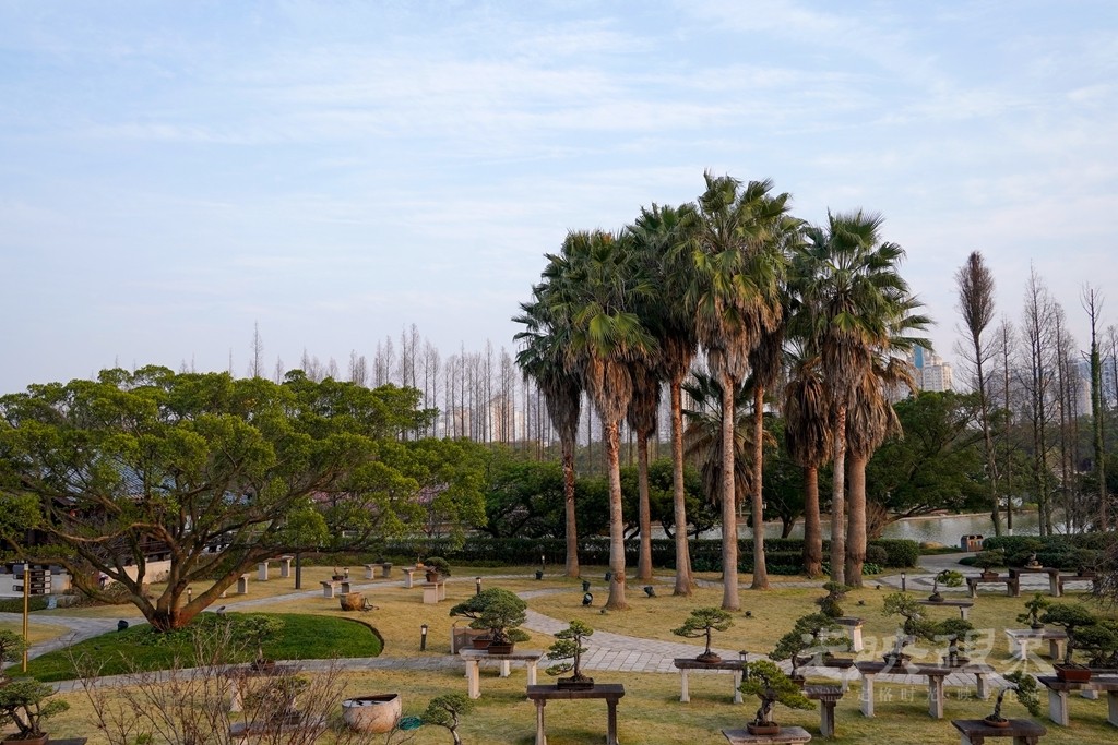 DSC07887_副本.jpg