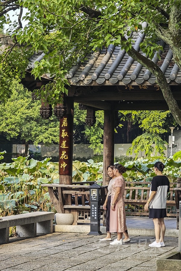 秋荷09900.jpg