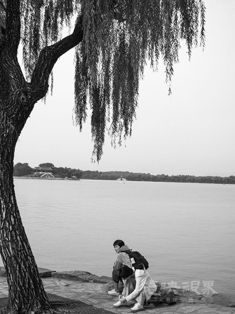 _1021691.jpg