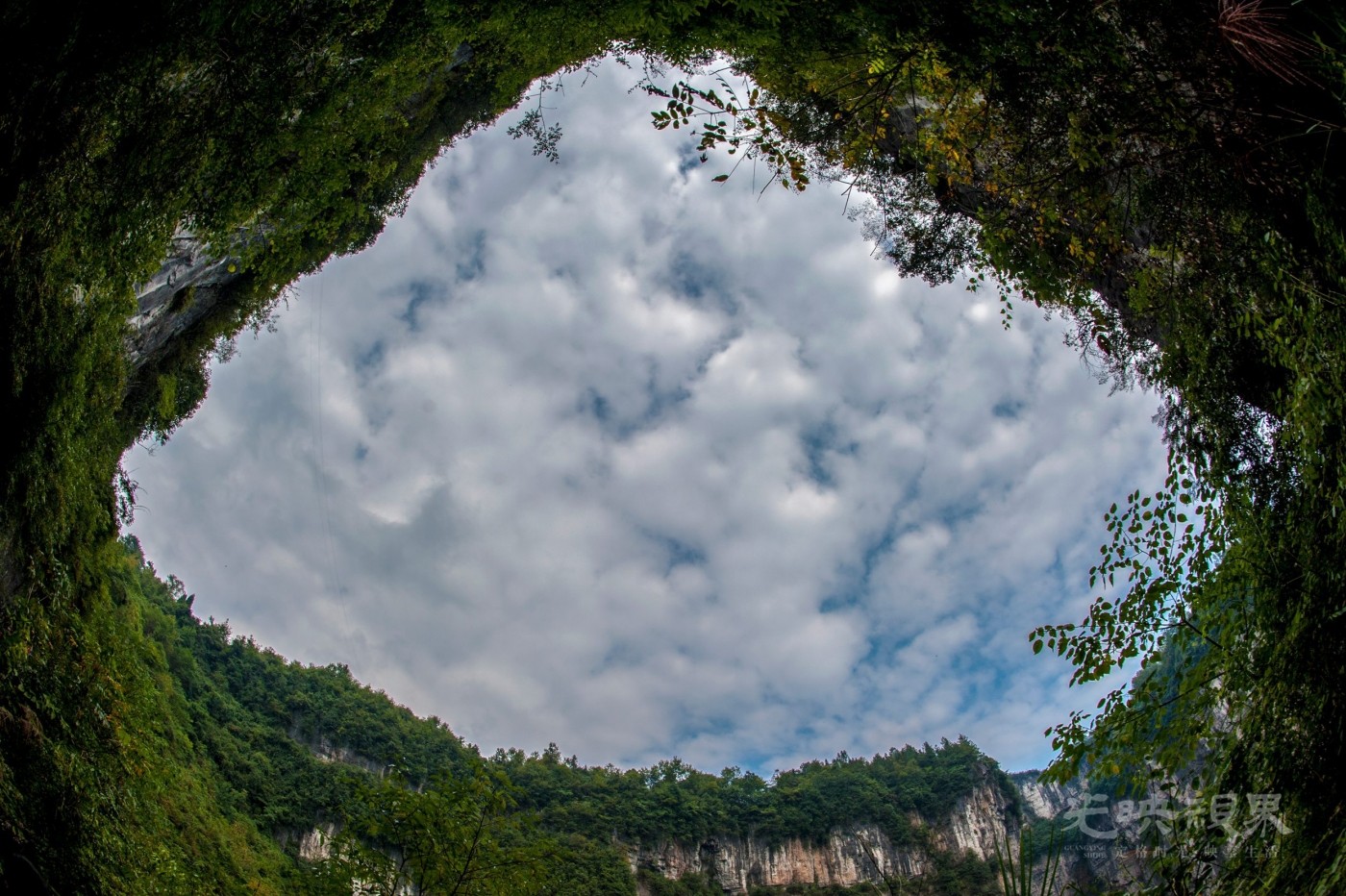 _DSC9047.jpg