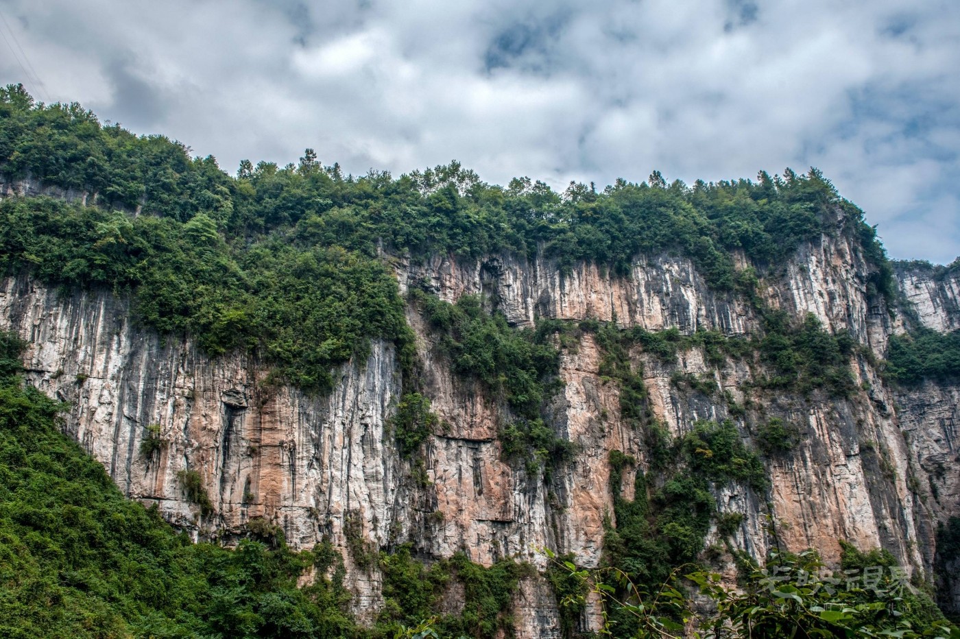 _DSC9050.jpg