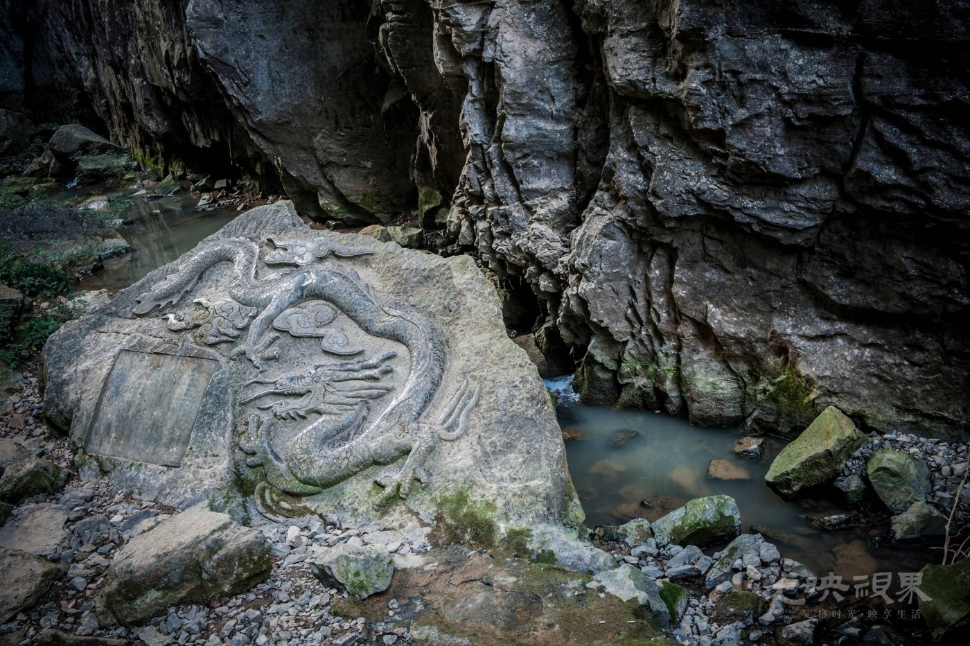 _DSC9153.jpg