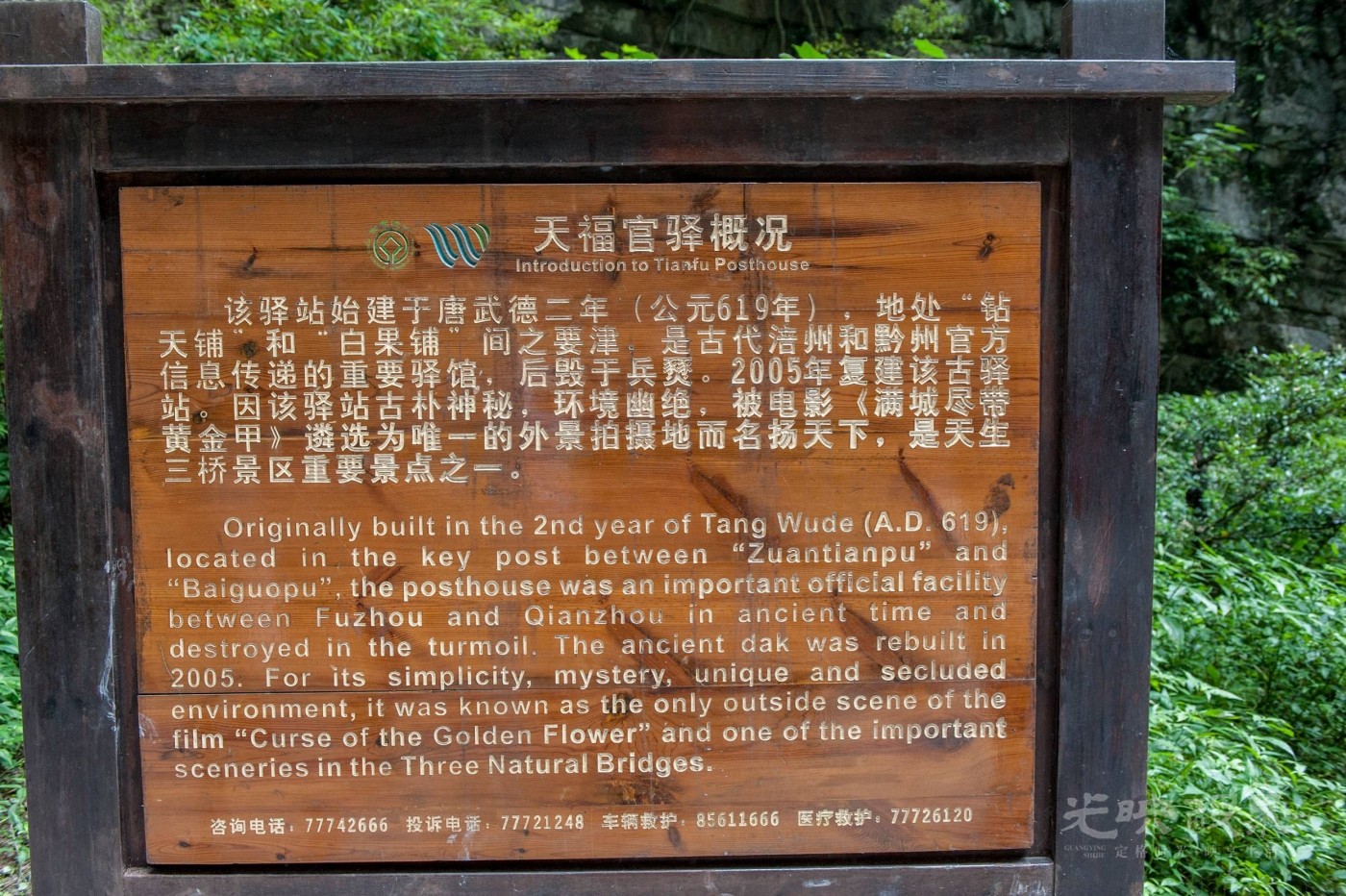 _DSC9125.jpg