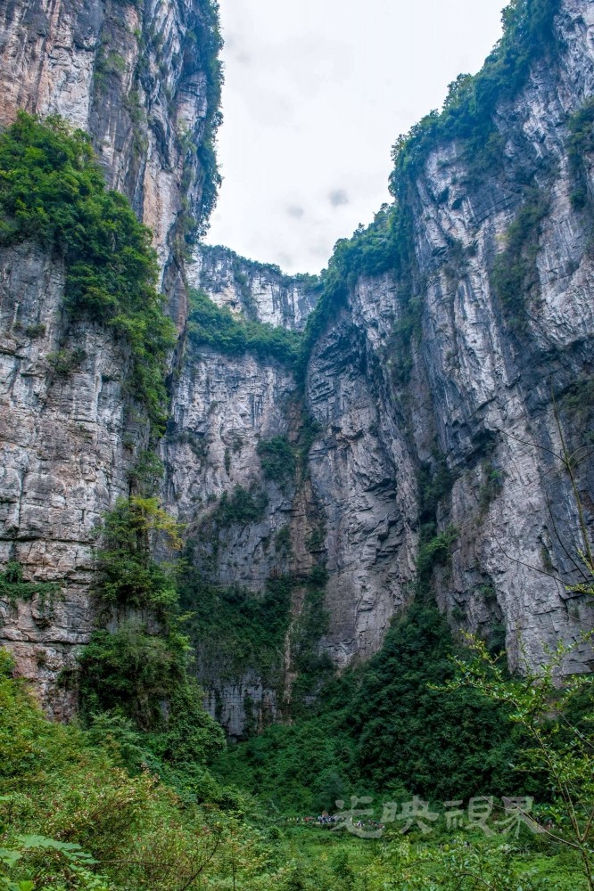 _DSC9060.jpg
