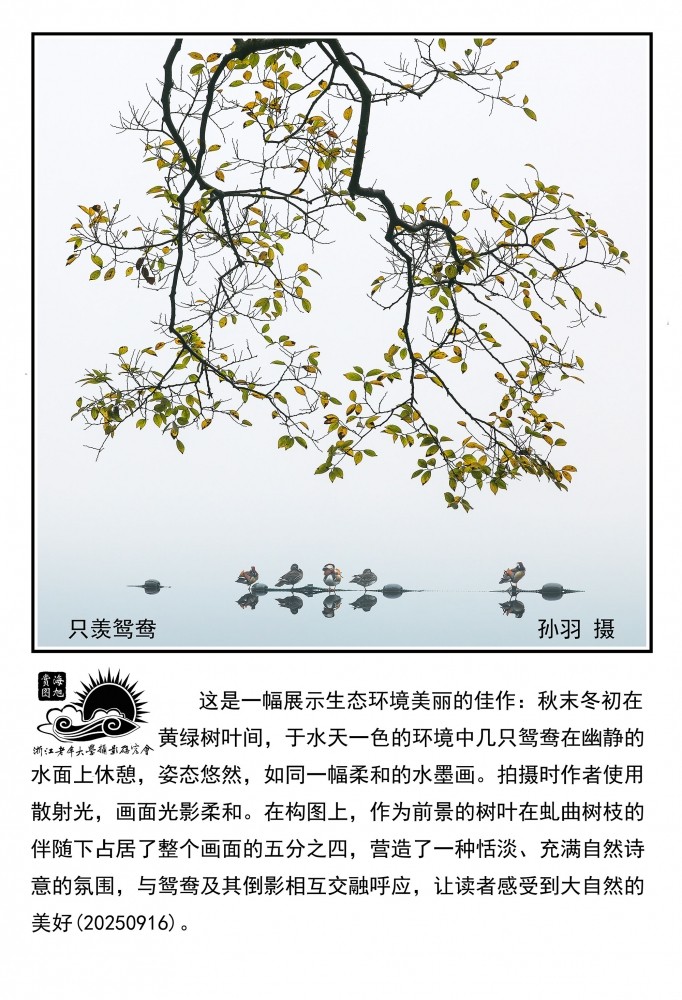 只羡鸳鸯.jpg