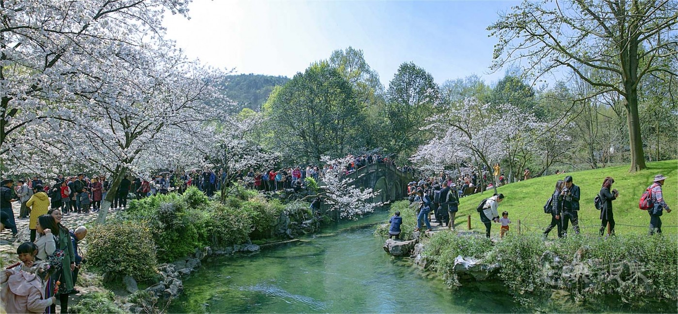 20190323杭州太子湾015.jpg
