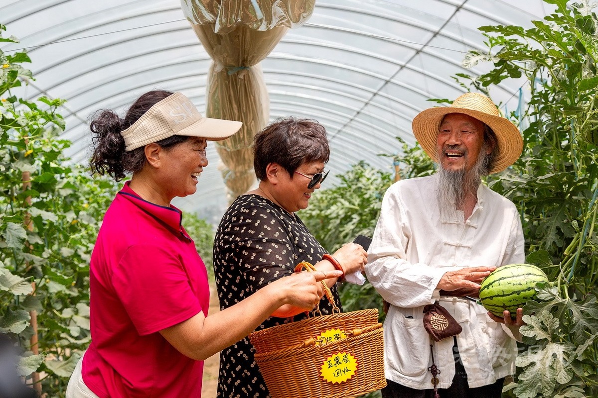 042安志义-大棚里的西瓜 “甜” 事90.5-5nNKiGXEAz.jpg