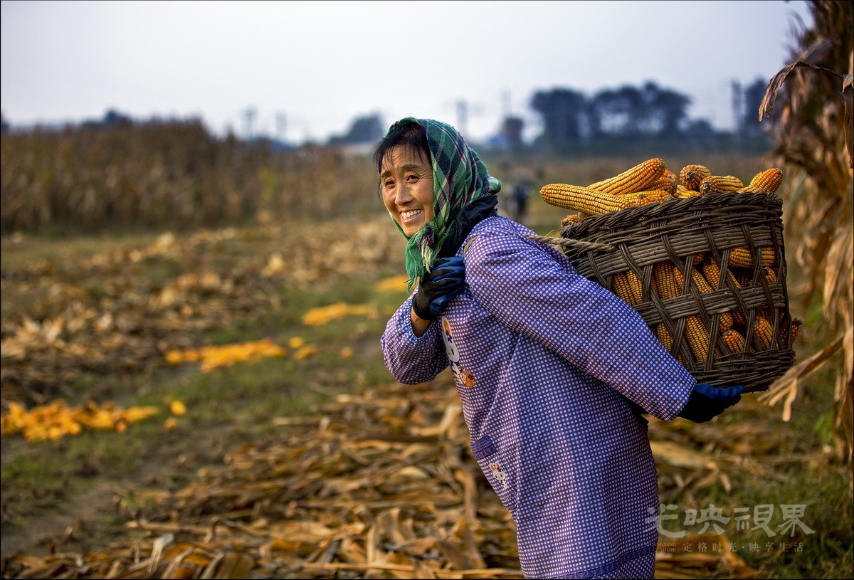 049刘士荣-背篓滿载丰收乐88.5KHKB4ayyR2.jpg