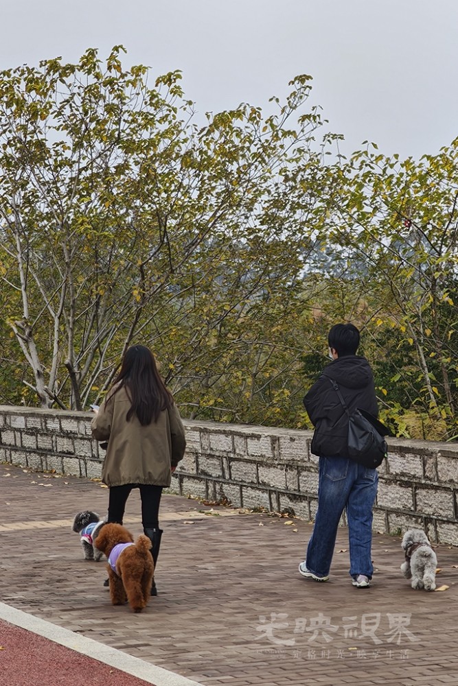 “遛娃”1024.jpg