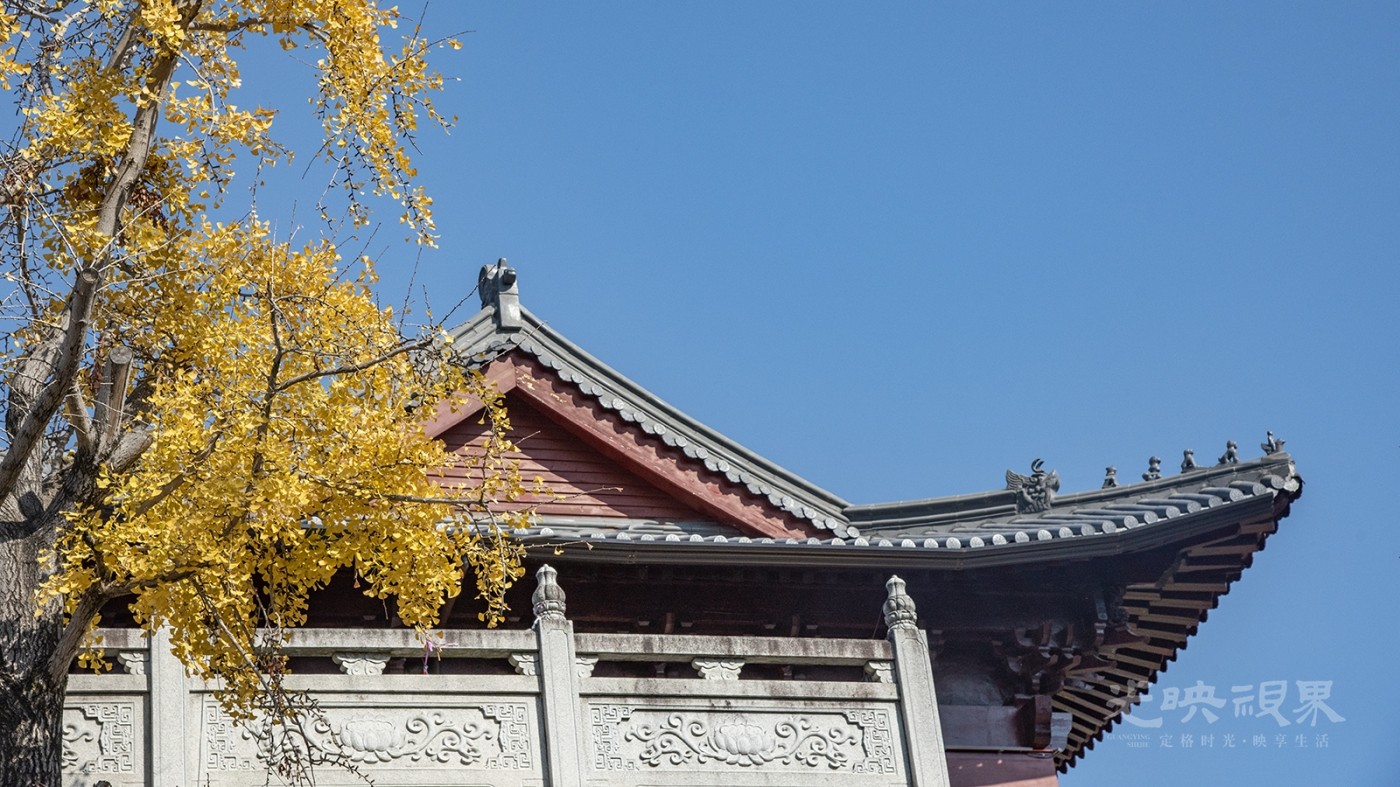 飞檐斗拱映银杏1600.jpg