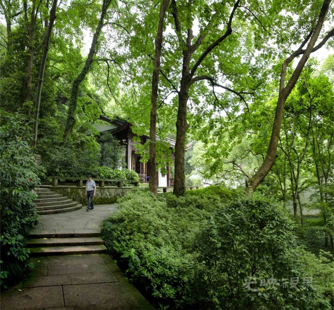 20190623杭州虎跑024.jpg