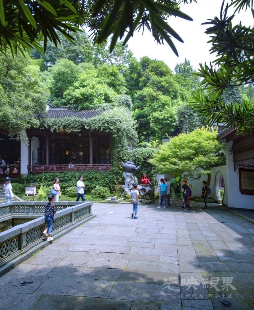 20190623杭州虎跑018.jpg