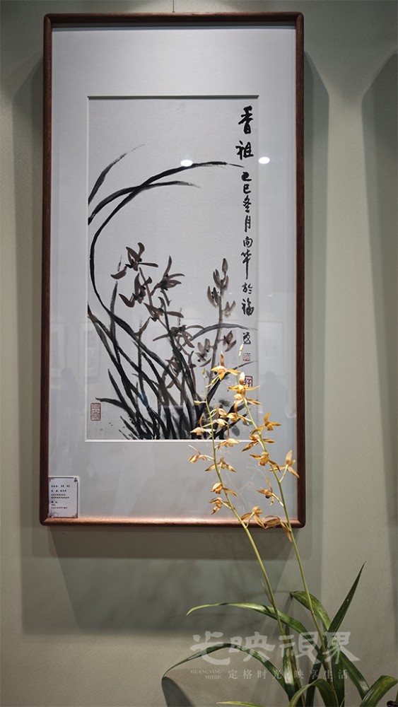 马年国兰展00181024.jpg