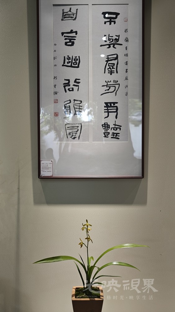 马年国兰展00221024.jpg
