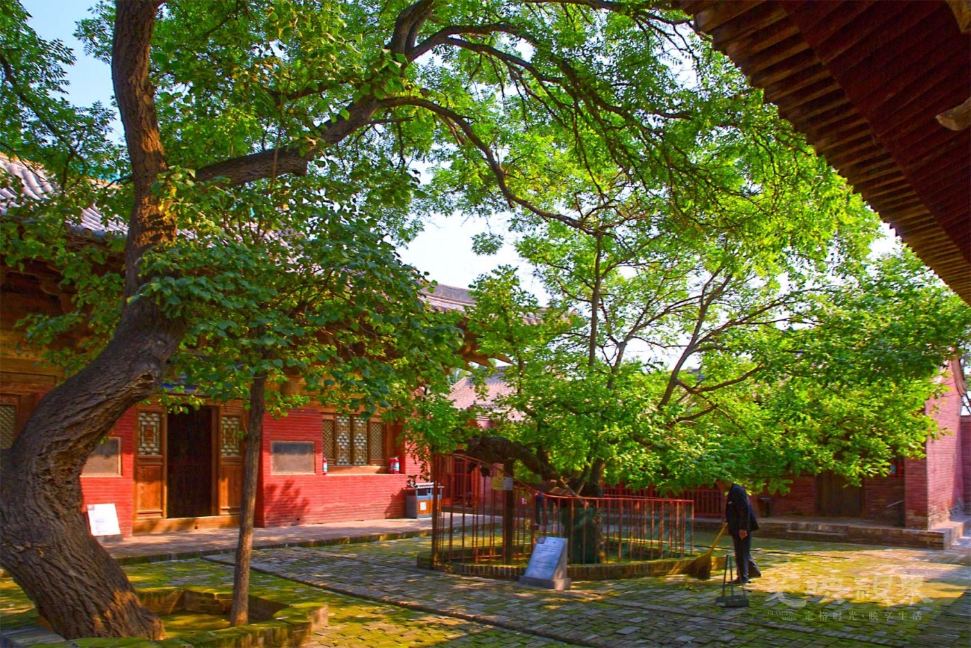20190918山西平遥镇国寺005.jpg