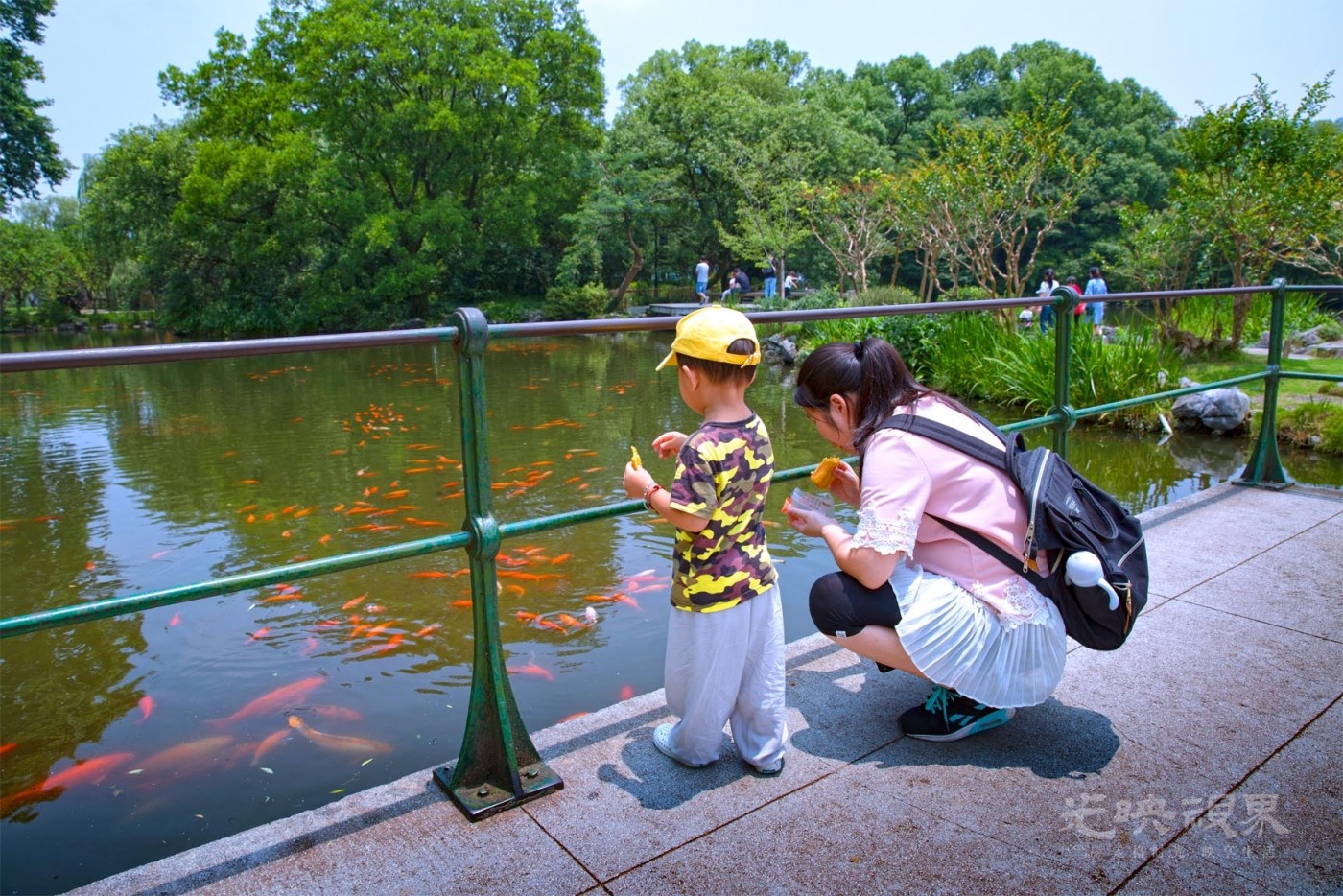20190623杭州花港观鱼002.jpg