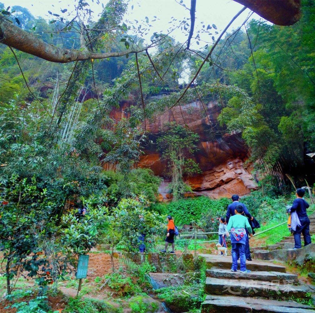 20170403贵州赤水红石野谷007.jpg