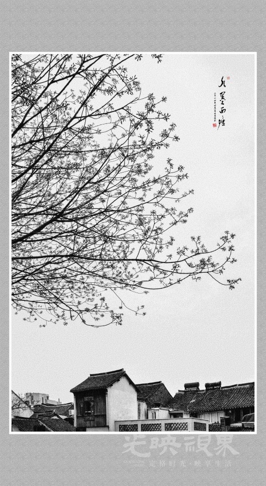 西塘古镇掠影- (3) 拷贝.jpg