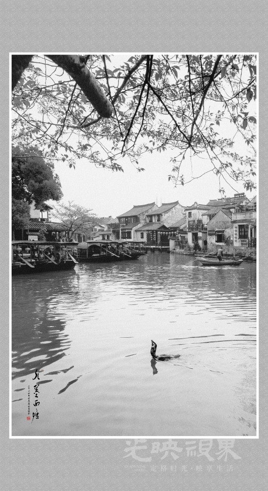 西塘古镇掠影- (9) 拷贝.jpg