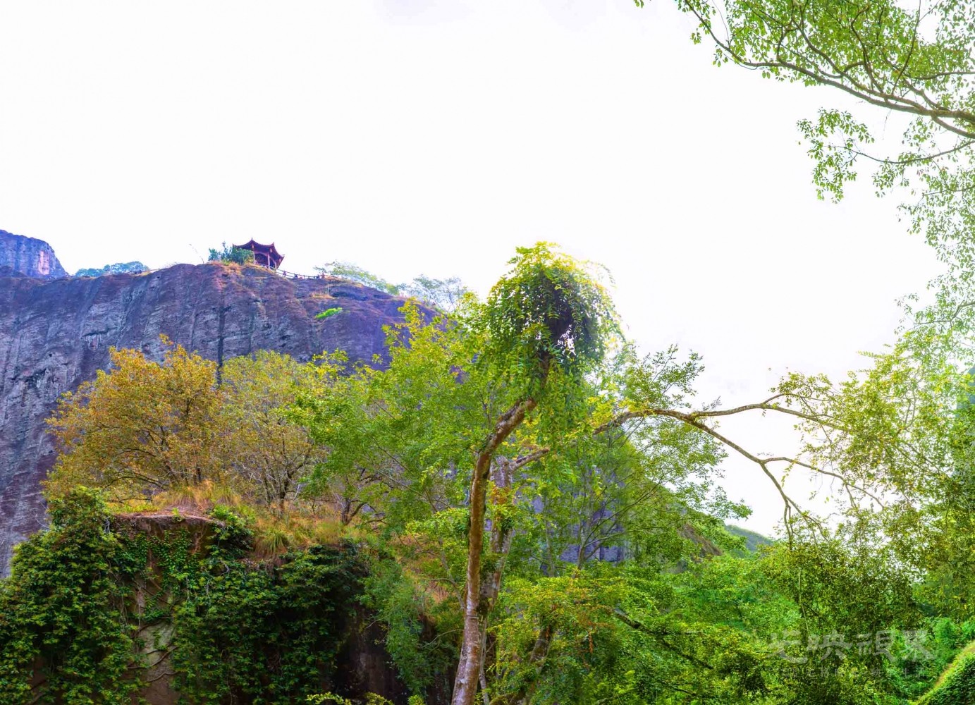 20201031福建武夷山029.jpg