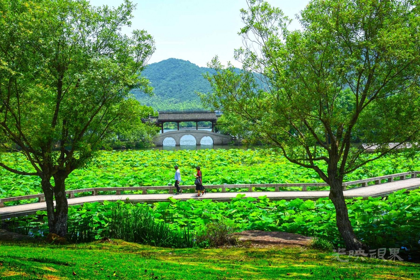 20180523浙江杭州湘湖025.jpg