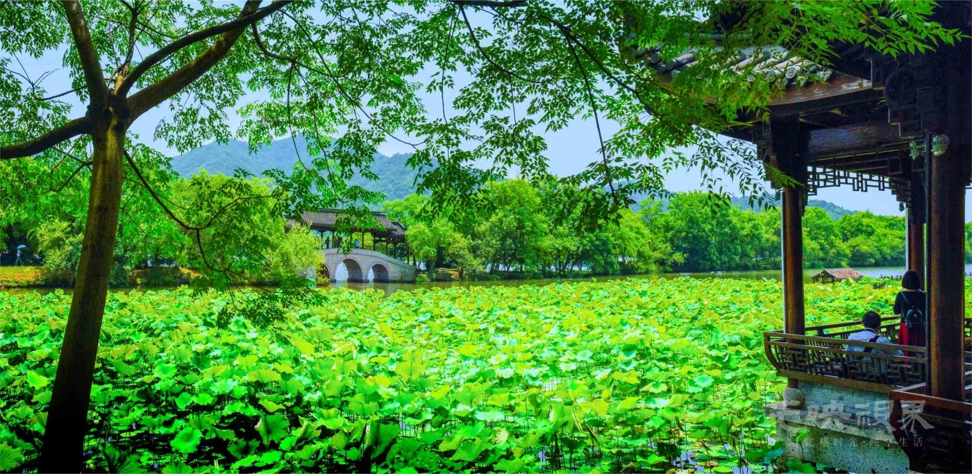 20180523浙江杭州湘湖017.jpg
