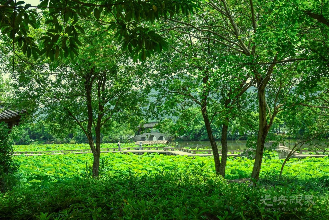 20180523浙江杭州湘湖024.jpg