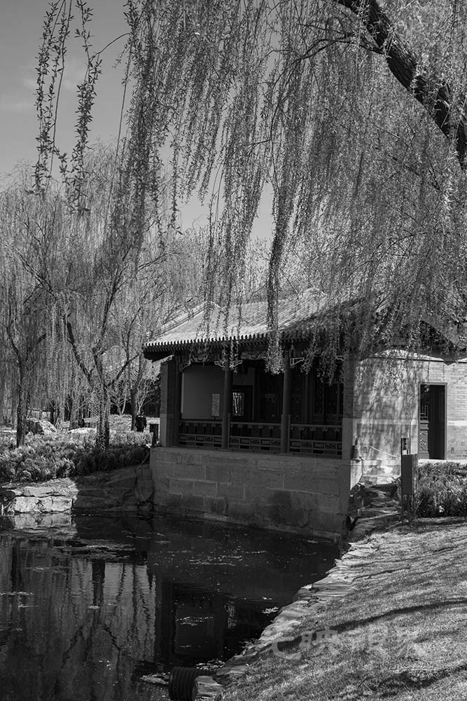 DSC_0787.jpg