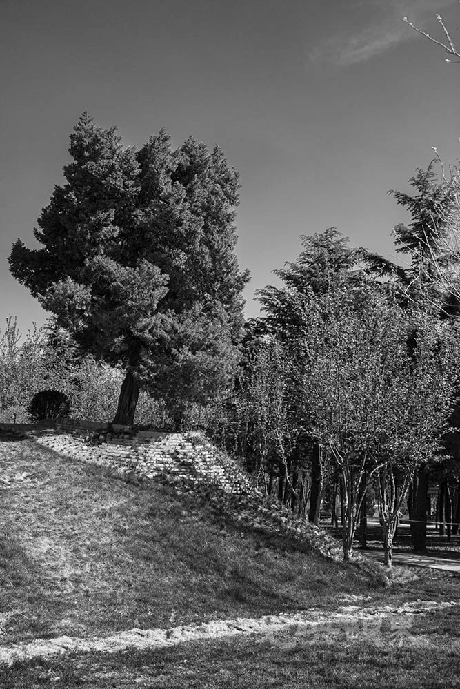 DSC_0780.jpg