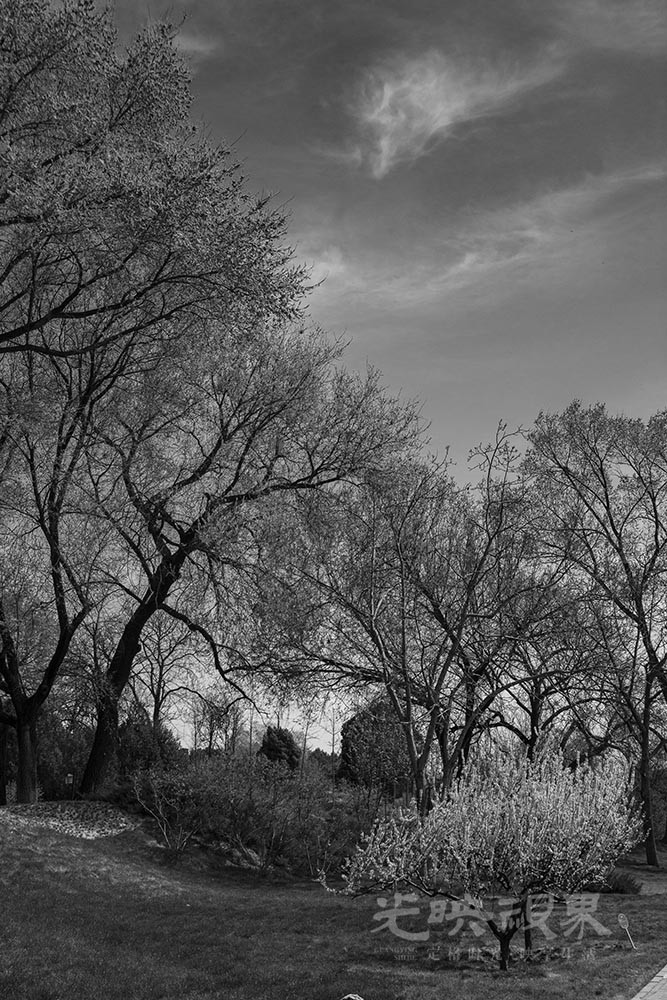 DSC_0809.jpg