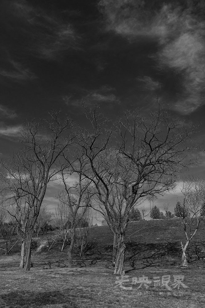 DSC_0814.jpg