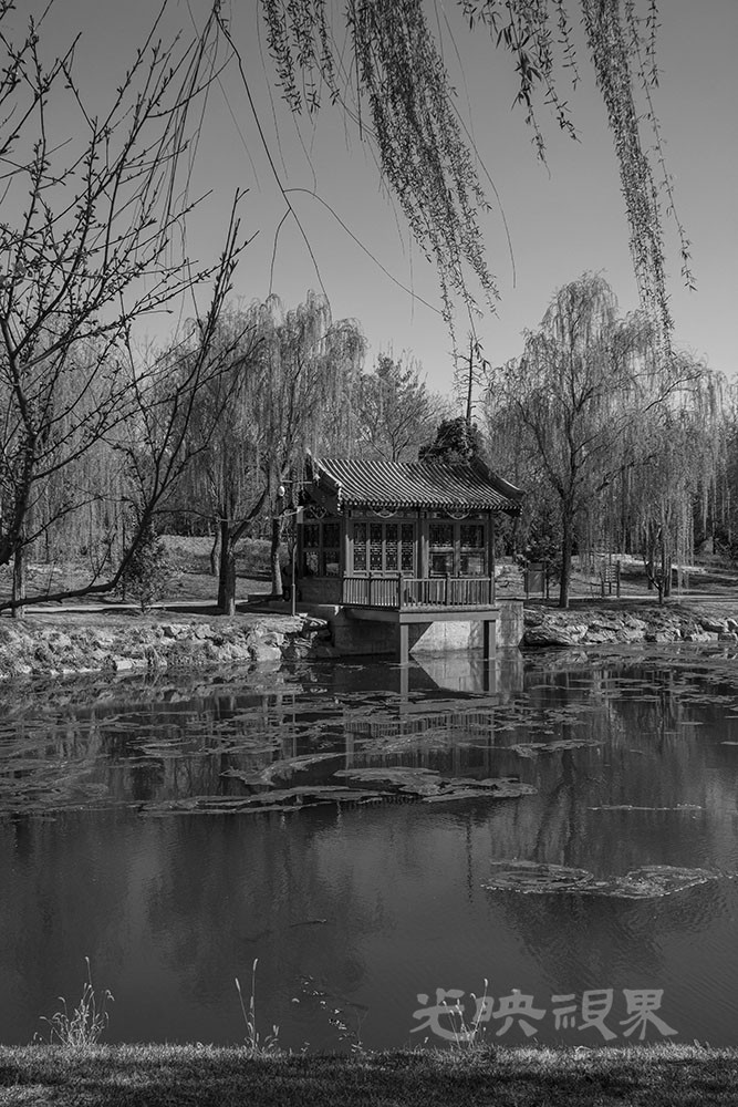 DSC_0756.jpg