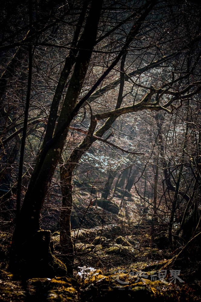 _DSC7530副本1.jpg